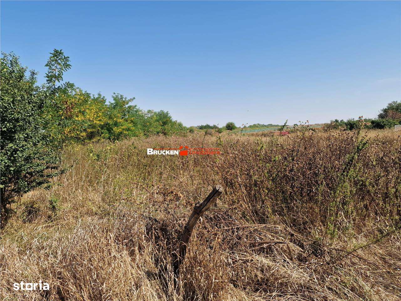 TEREN REZIDENTIAL | TOBOLIU | 1.773 MP - Imagine principală: 3/6