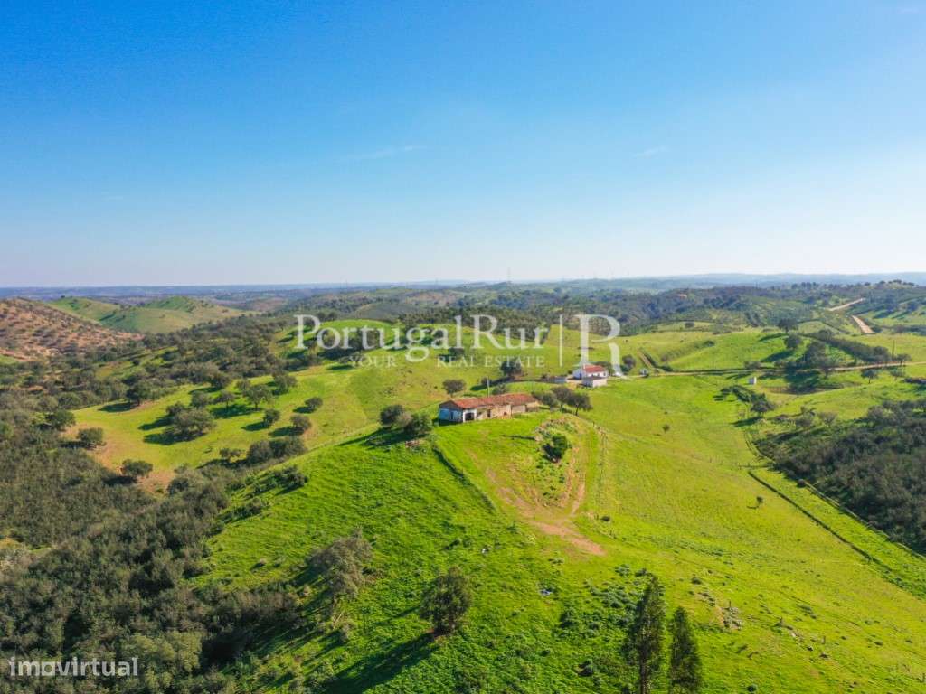 Herdade de 30ha junto à barragem, em Ourique - Grande imagem: 3/23