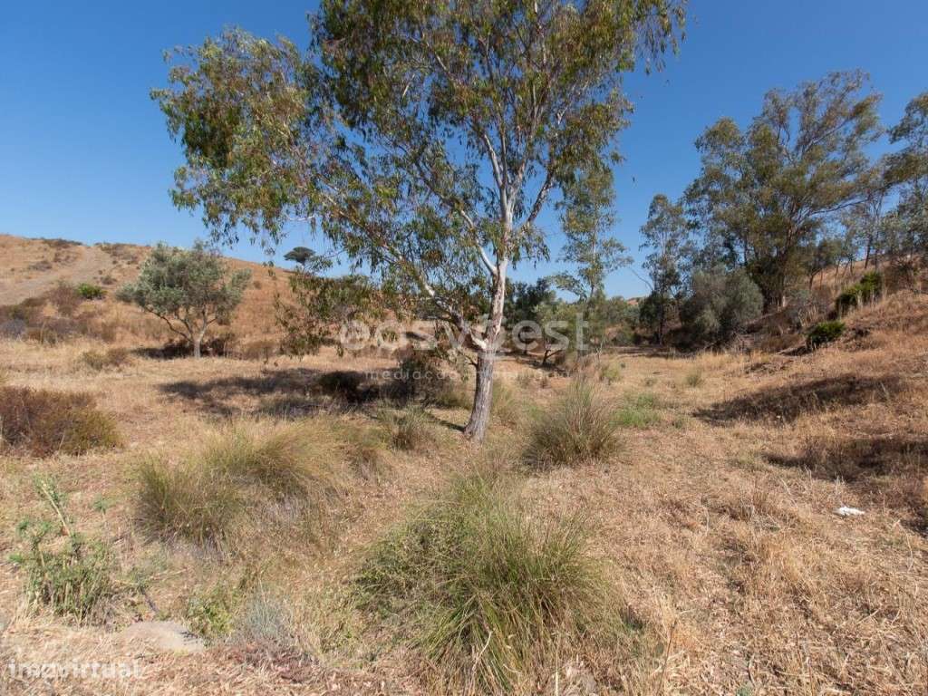 Lote de Terreno Rústico de cultivo nas Fontainhas - Castro Marim - Grande imagem: 2/26
