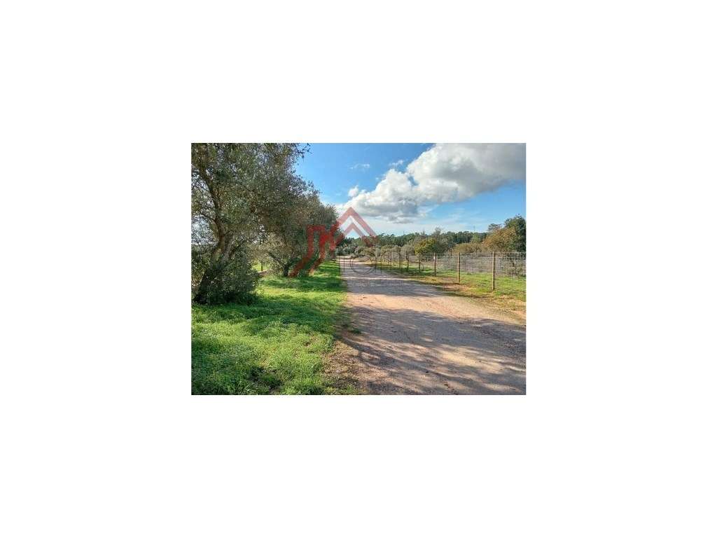 Terreno Rústico - 25.000 m² em Lagos, com Ligações, Acessos e Local...-7