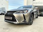 Lexus UX 250h Executive - 48