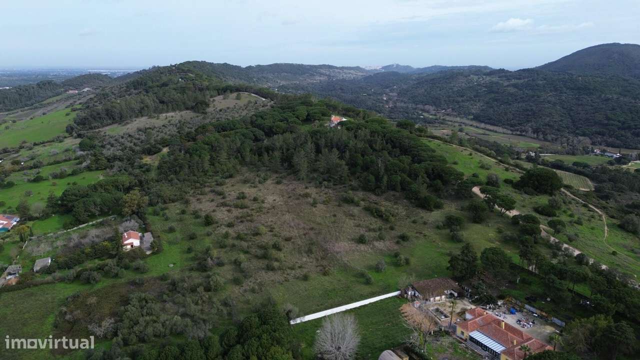 Terreno rústico situado na Serra das Necessidades - Azeitão - Grande imagem: 5/9
