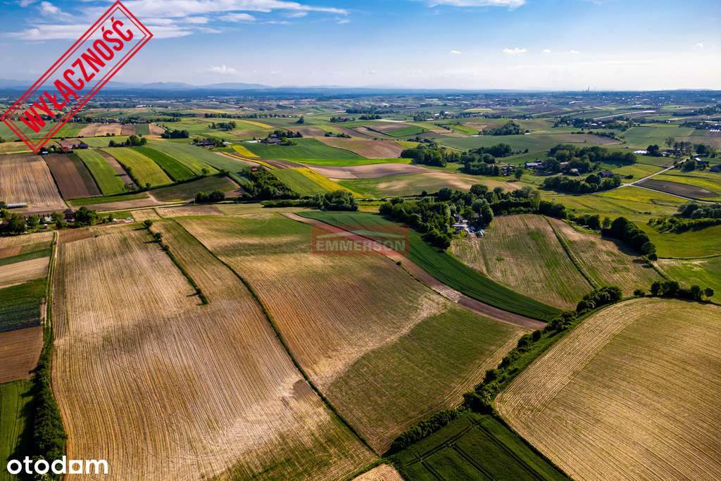 Działka rolna w Grębocinie, powiat proszowicki. - Pełny obrazek: 5/7