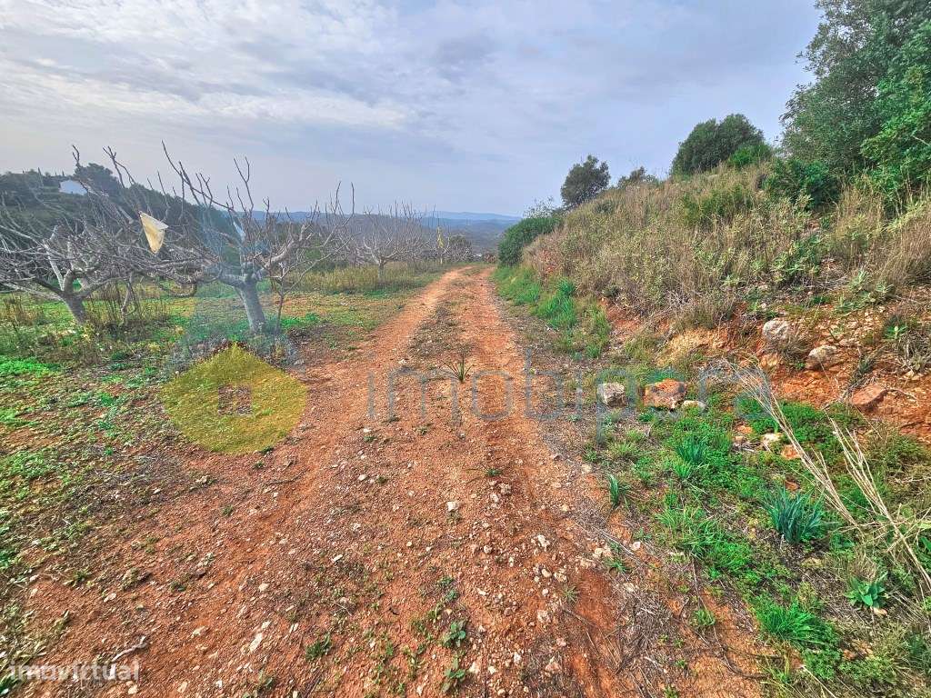 Algarve, Messines: Terreno rústico na evasão do campo, ideal para a... - Grande imagem: 3/12