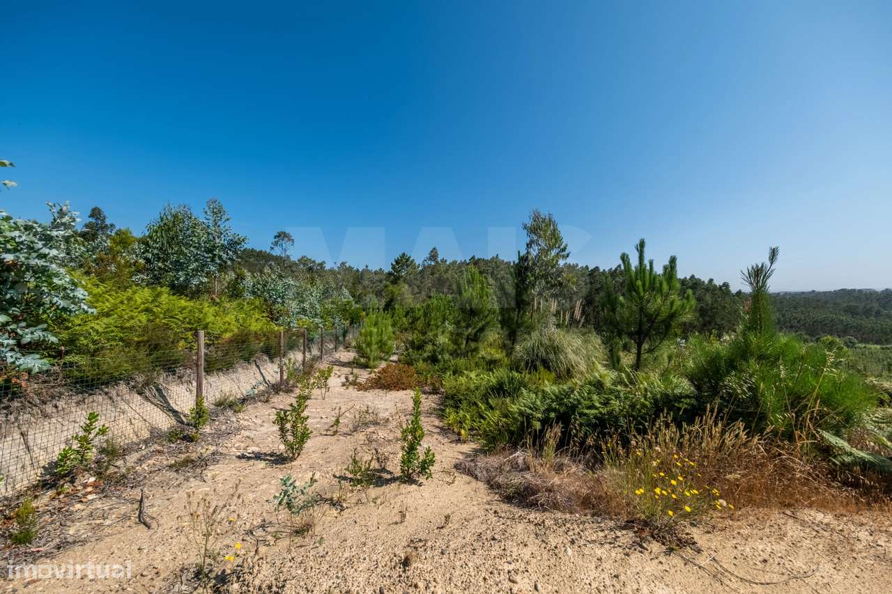 Terreno Agrícola na Fanadia | 16.100 m² de Potencial e Infraestrutu...-28