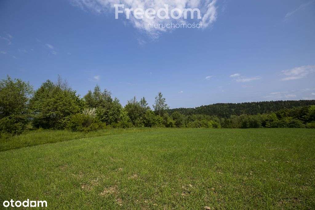 1,8 ha pod rekreację, siedlisko lub fotowoltaikę - Pełny obrazek: 5/16