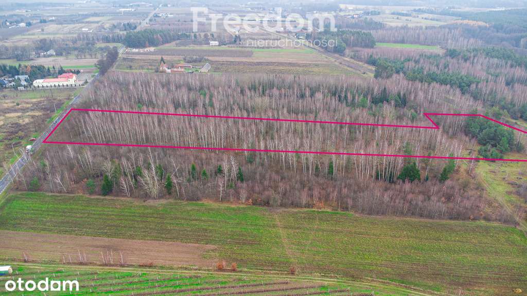 Działka 1,86 ha Suchostruga gmina Tarczyn - Pełny obrazek: 4/19