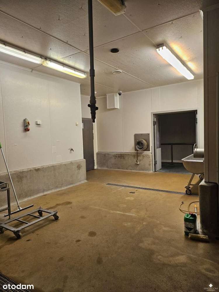 Gdańsk, Wyspa Sobieszewska - Budynek przemysłowo-u-6