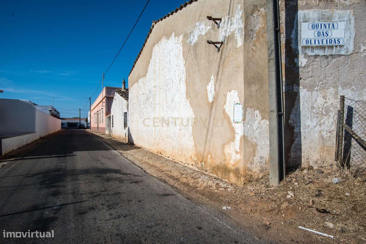 Quinta com moradia senhorial T6 e terreno de 2,49 hectares em Alcaria, - Grande imagem: 5/44