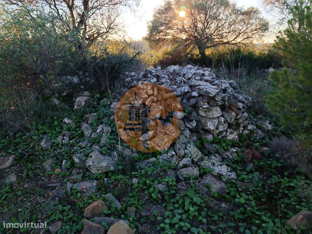 TERRENO COM 145.360 M2 - COM LAGO - POSSIBILIDADE DE CONSTRUÇÃO - T... - Grande imagem: 3/60