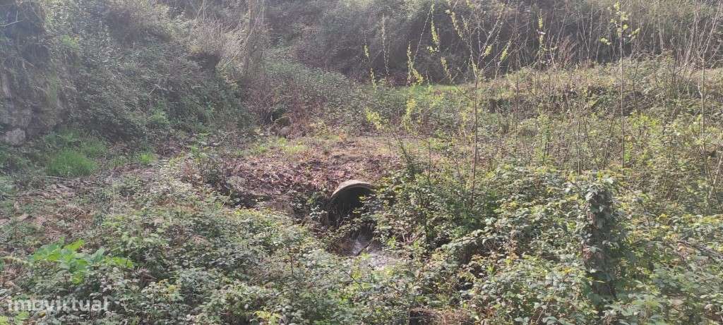 Terreno Agrícola - Moimenta / Terras de Bouro - Grande imagem: 4/7