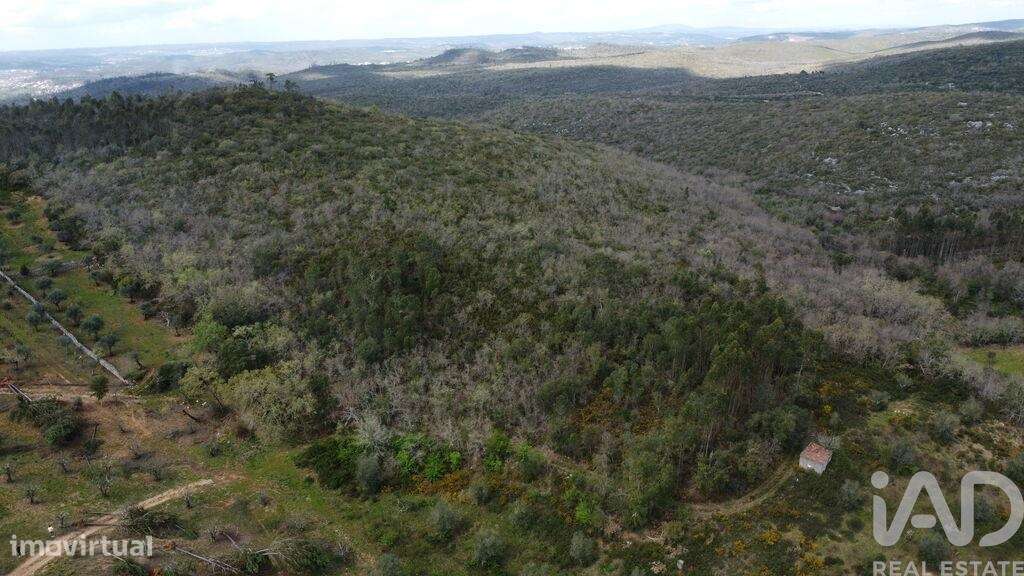 Terreno em Chãos - Grande imagem: 2/32