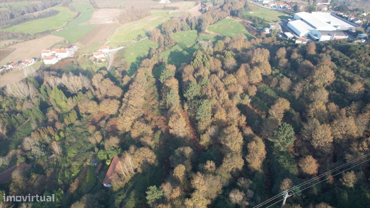 Quinta de Guadalupe / Quinta de Vila Fria – Oportunidade de Investimen - Grande imagem: 5/11
