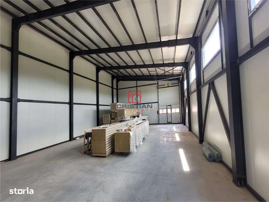 Vanzare depozithalaspatiu industrial Domnesti - Centura, Ilfov - Imagine principală: 5/20
