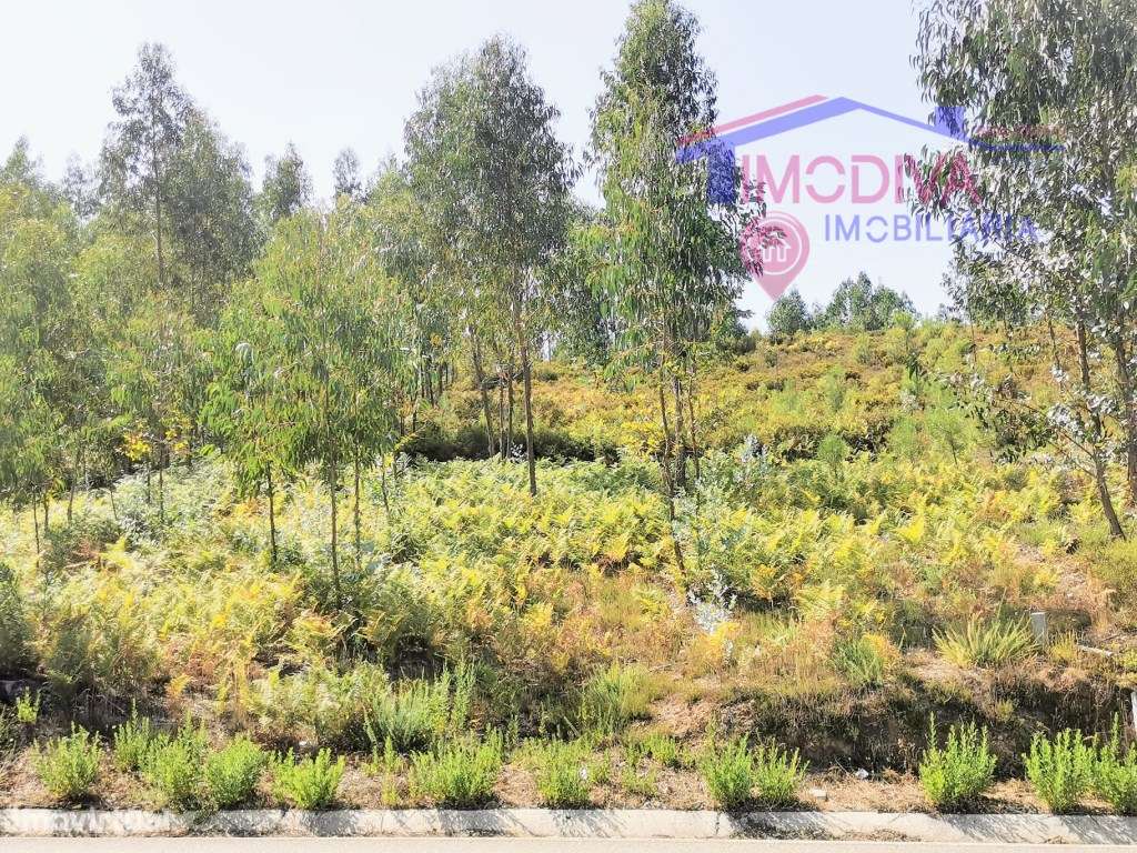 Terreno rústico com fácil acesso em Outão, Pedrogão Grande - Grande imagem: 4/8