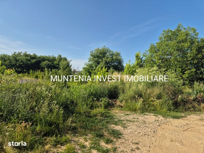 Teren 2779 mp. intravilan Ștefănești, str. Mironescu-2