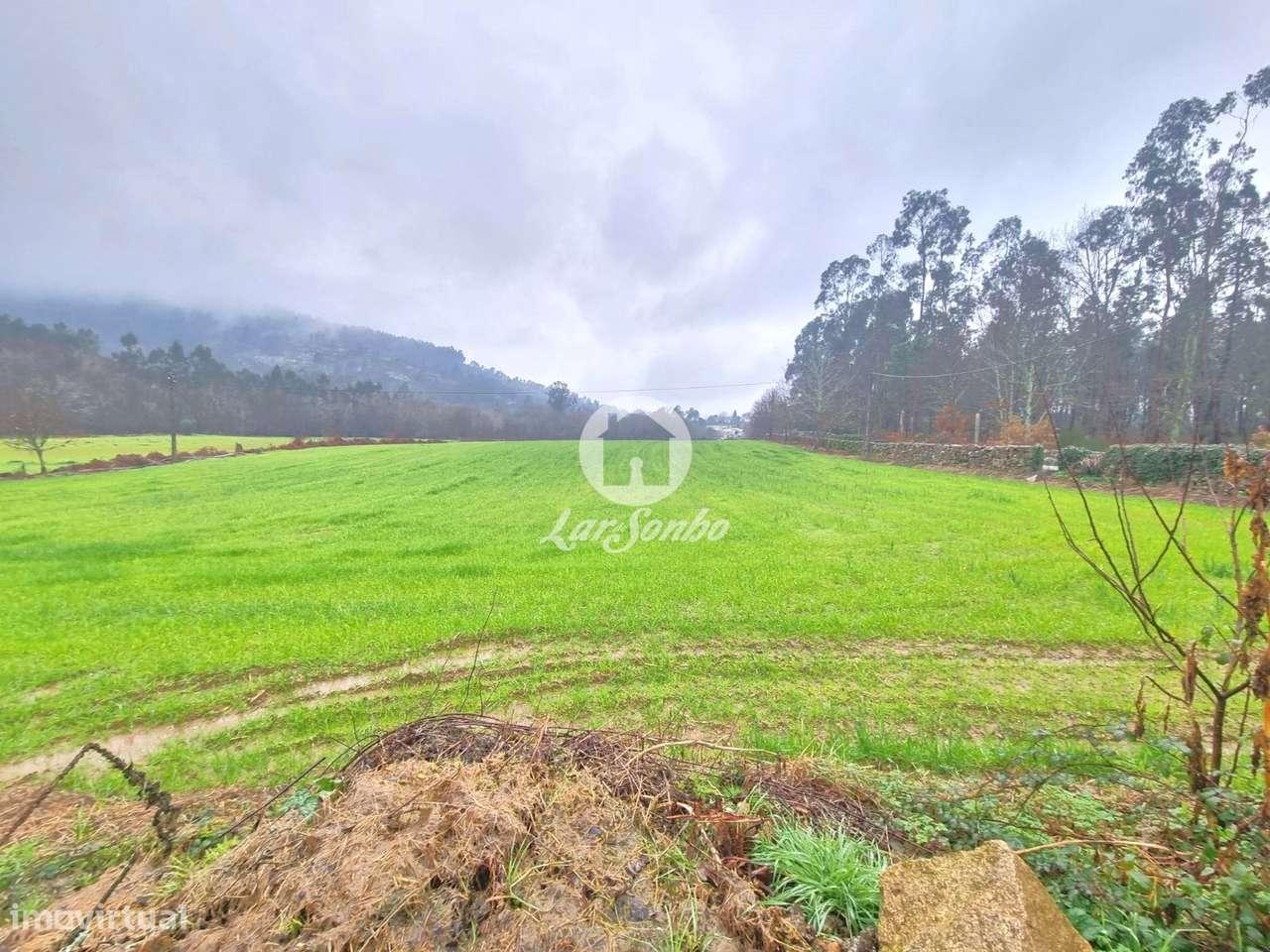 Quinta em Barcelos - Grande imagem: 5/29