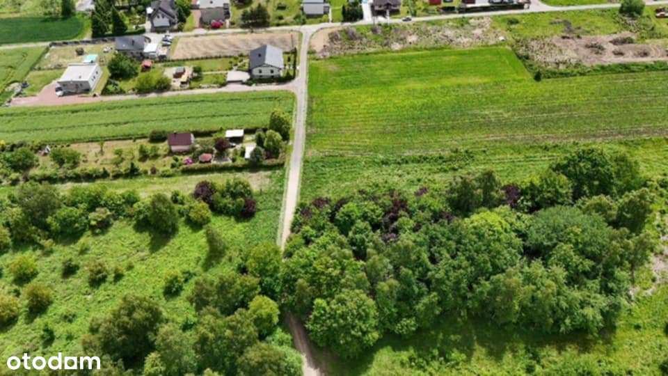 Wyjątkowa działka z lasem w uroczym zakątku !!! - Pełny obrazek: 4/6