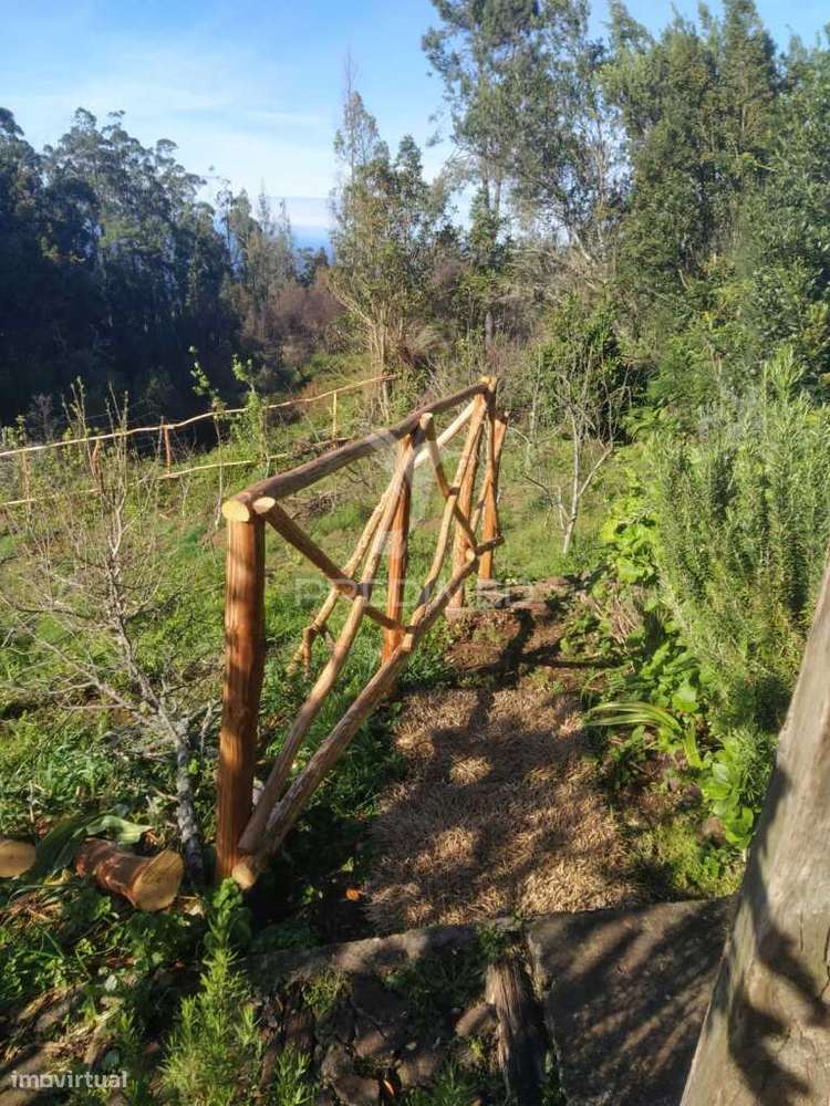 TERRENO c/ Arrecadação/ Habitação - Grande imagem: 2/15