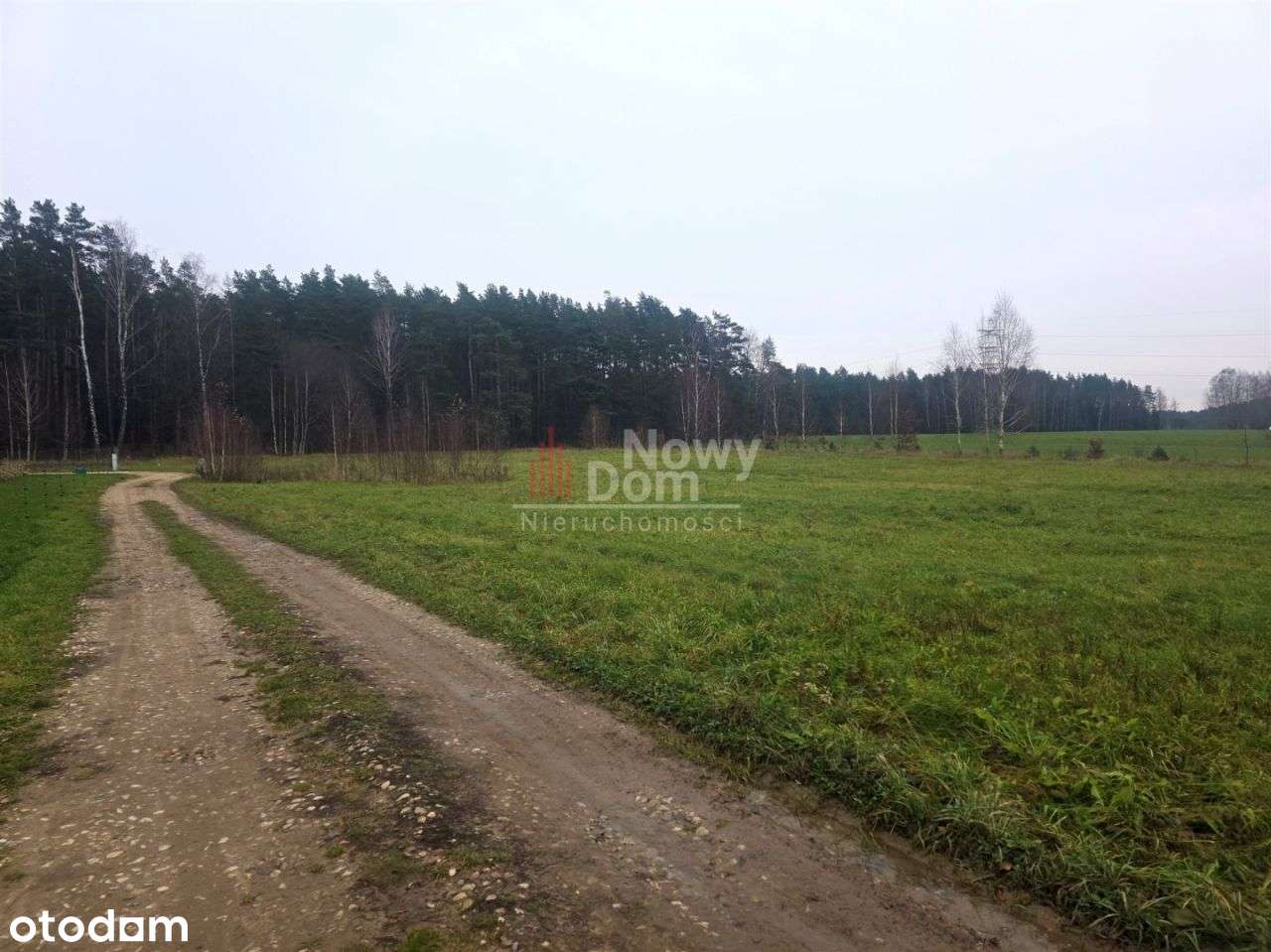 Działki Stręgielek!-10