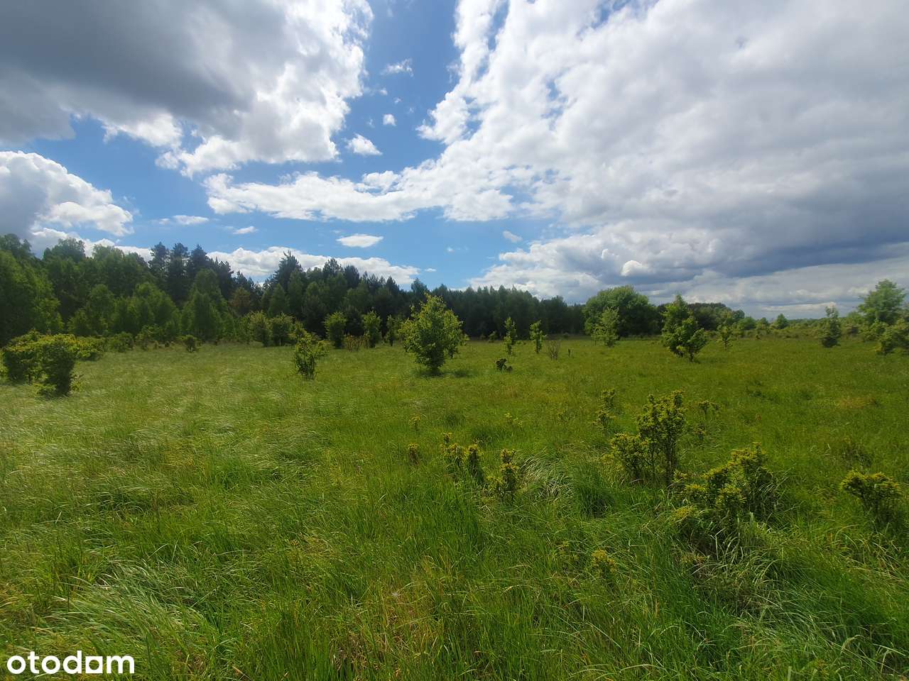 Twoje miejsce na rekreacyjny dom pod miastem-2