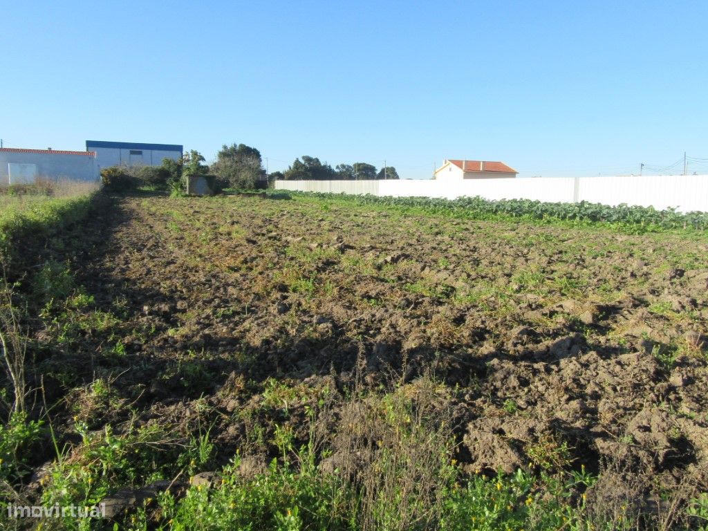 Terreno para construção na zona de Monte Real - Carvide