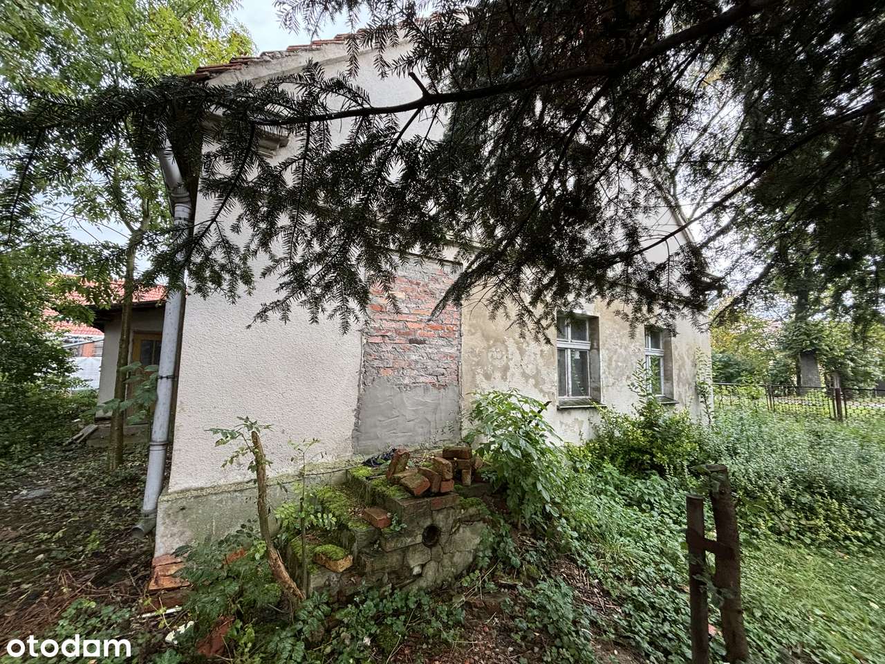 Działka 1500 m² z domem do remontu i bud. gosp. koło Namysłów, Bukowie - Pełny obrazek: 4/8