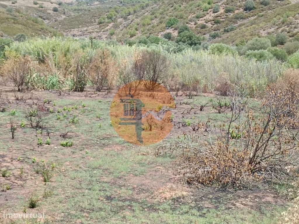 TERRENO RUSTICO COM 2.960 M2 - PLANO- NO AZINHAL EM CASTRO MARIM - ... - Grande imagem: 4/24