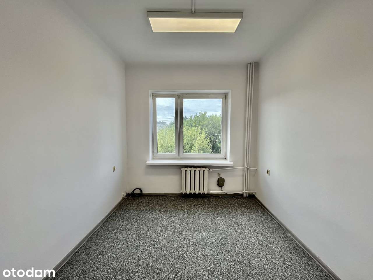 Do wynajęcia: Biuro  – centrum Łodzi, ul. ks. Piotra Skargi 12 - Pełny obrazek: 4/6