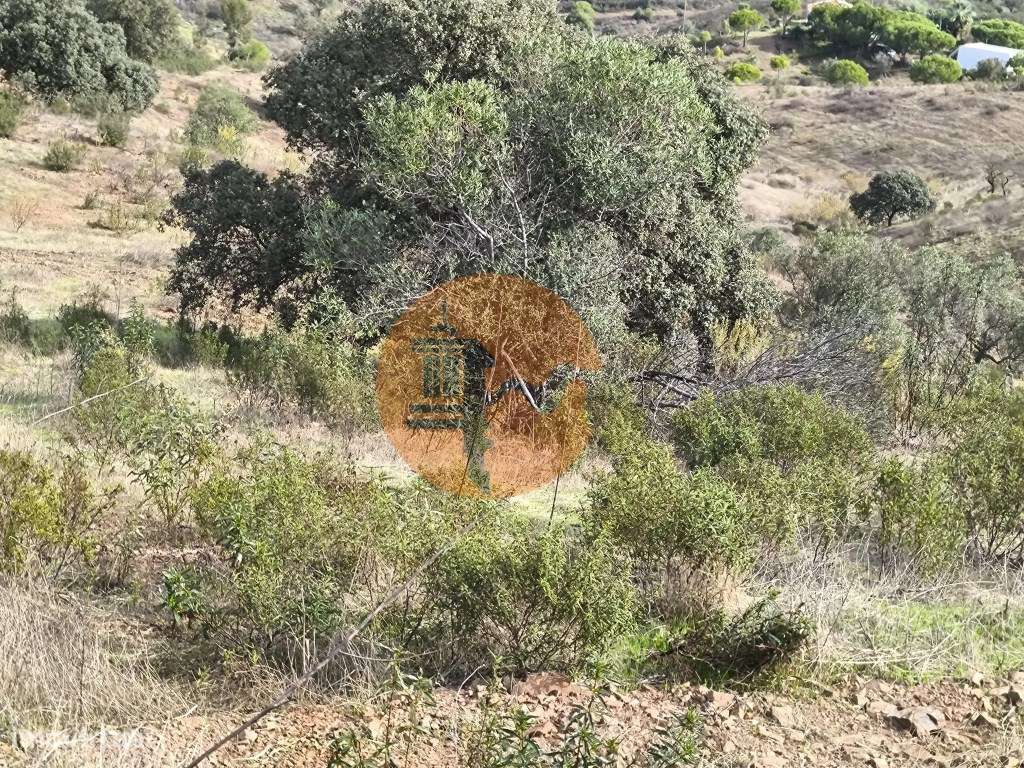 TERRENO RUSTICO COM 7.360 M2 - BELICHE - EM CASTRO MARIM - ALGARVE - Grande imagem: 3/23