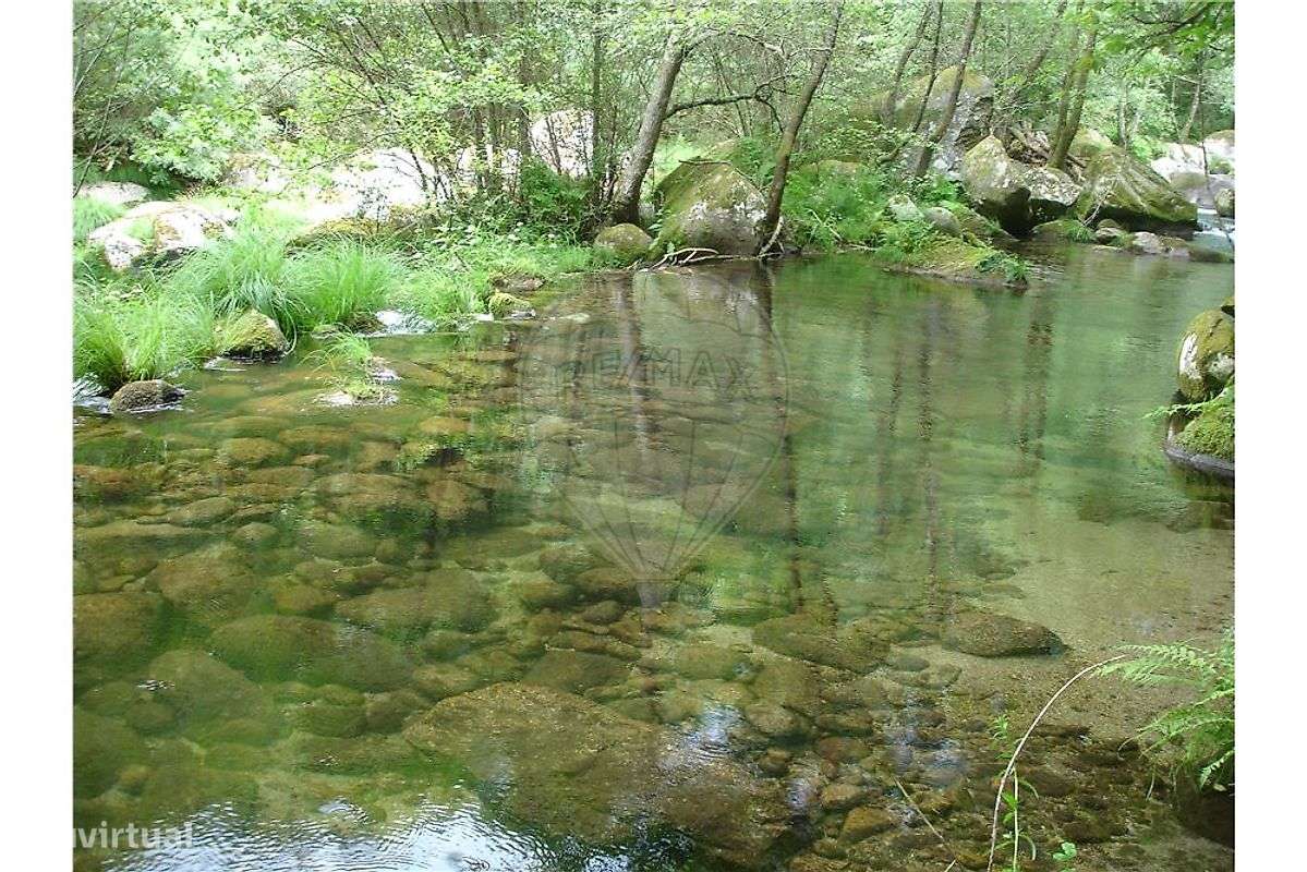 Quinta  para venda - Grande imagem: 2/17