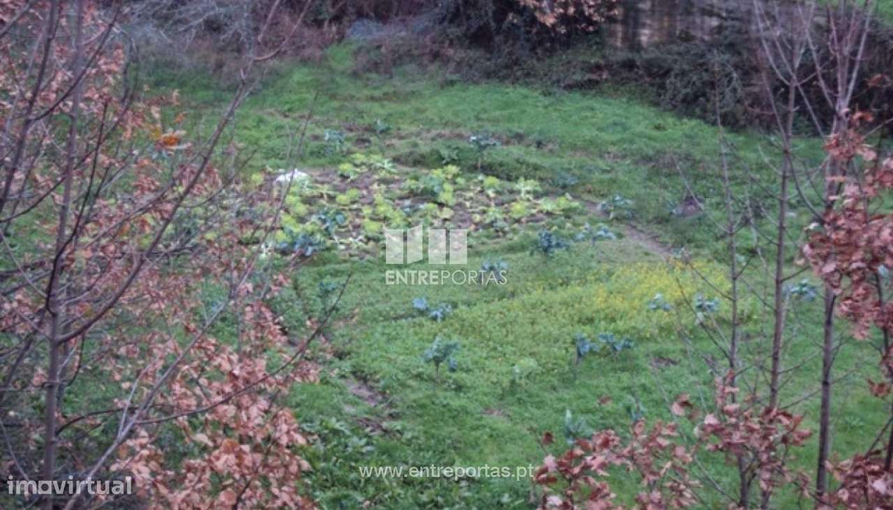 Venda Terreno, Campelo, Baião - Grande imagem: 3/30