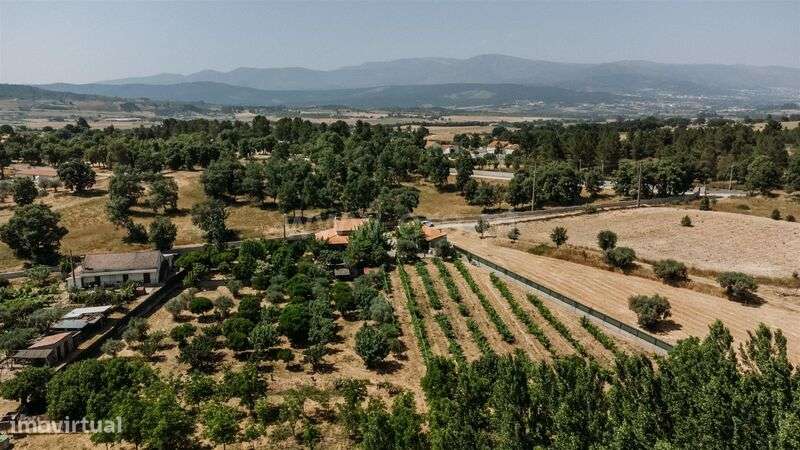 Quintinha T3 / Fundão, Aldeia Nova - Grande imagem: 1/20