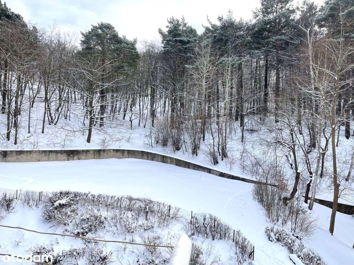 2-pokojowe mieszkanie z widokiem na las Gdynia-2