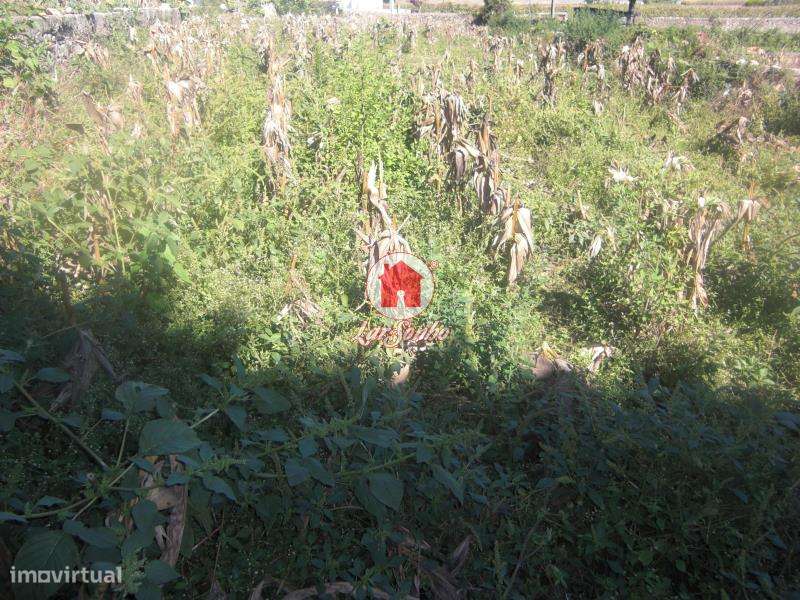 Terreno para construção com 2.000 m2 em Beiriz, Povoa de Varzim - Grande imagem: 5/5