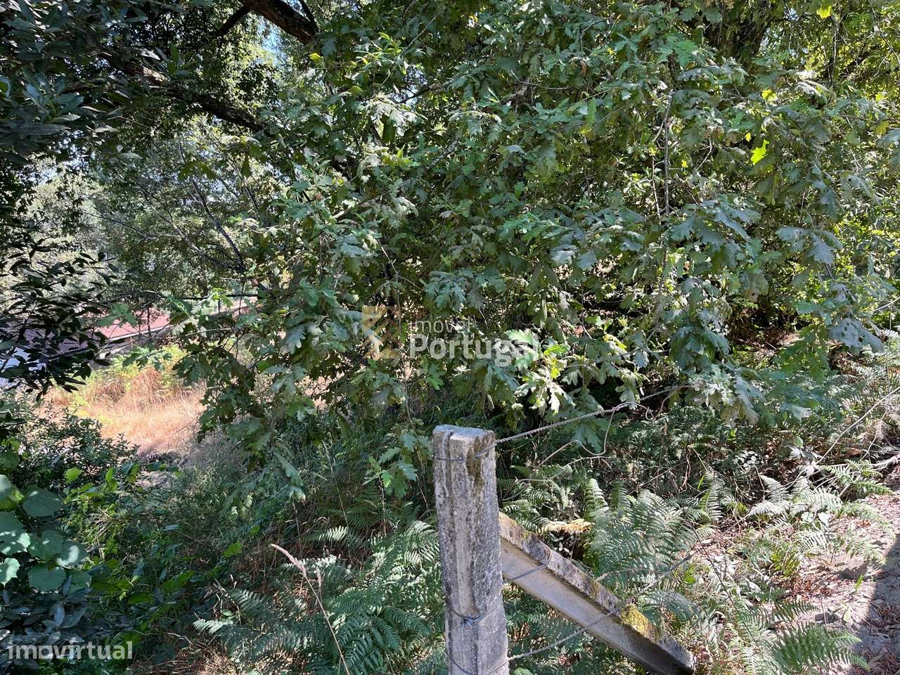 Excelente Preço - Terreno com 3.554m² e Potencial de Construção-9