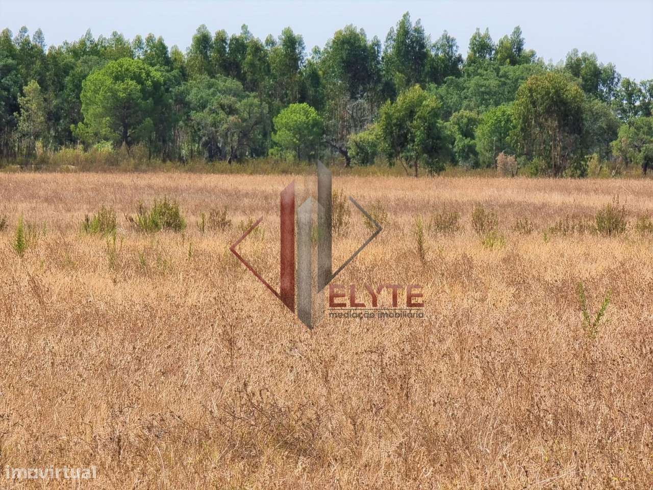 Terreno em Gloria do Ribatejo com 13ha-9