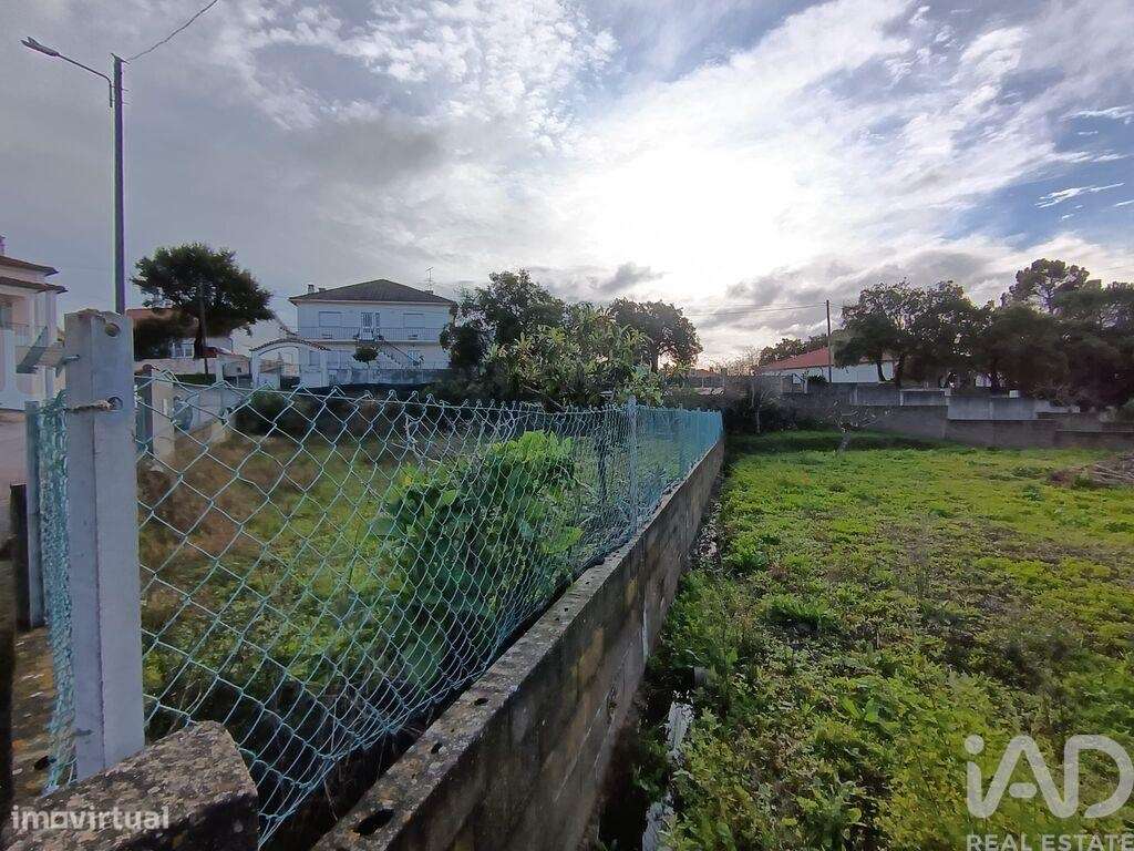 Terreno em Chancelaria - Grande imagem: 5/11