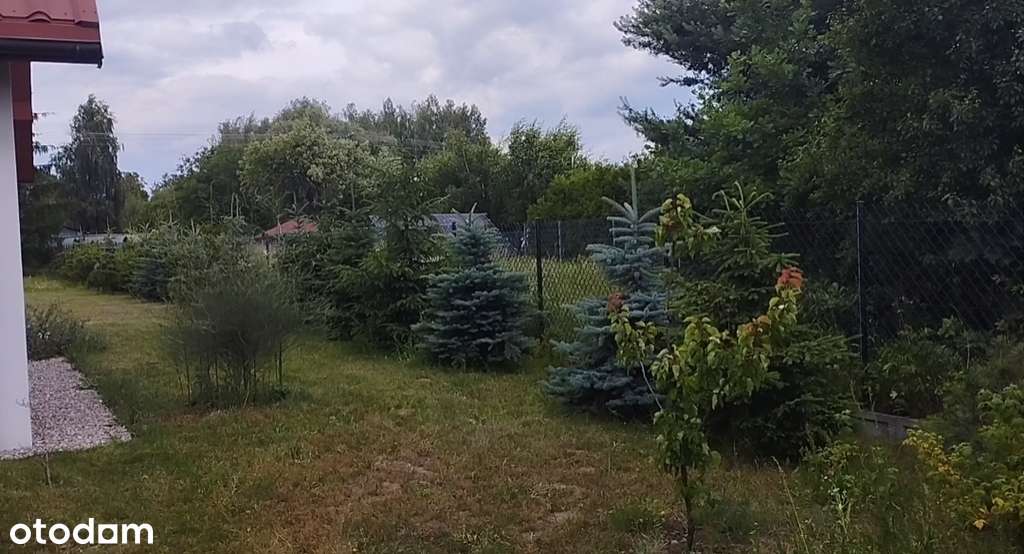 Do sprzedania dom - Pełny obrazek: 3/20