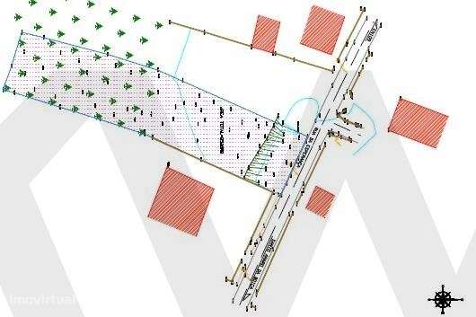 Terreno Rústico com Potencial Urbano na Figueira da Foz-9