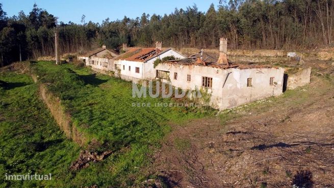 Quinta com 2 hectares para recuperar junto ao Rio Caima-0