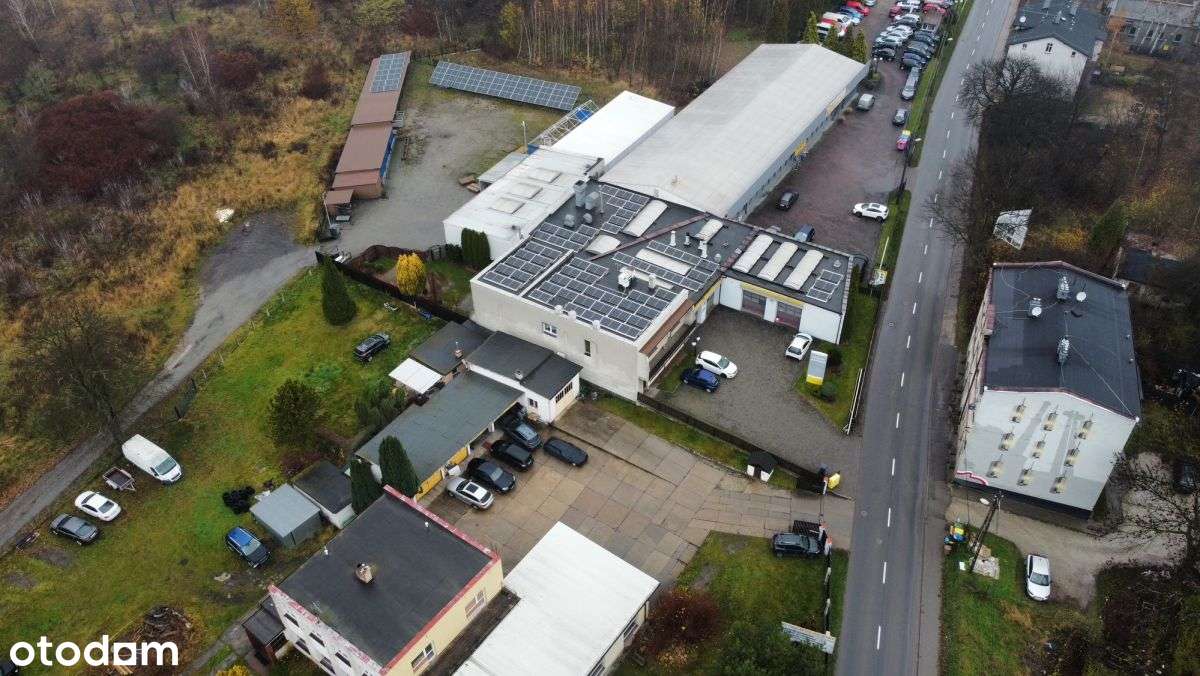 797764 - Pełny obrazek: 2/17