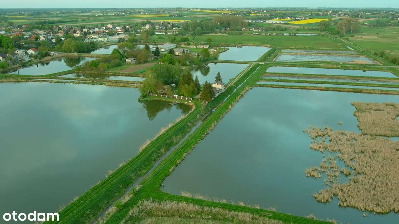 Gospodarstwo Rybackie Markuszów pow. Puławski-10