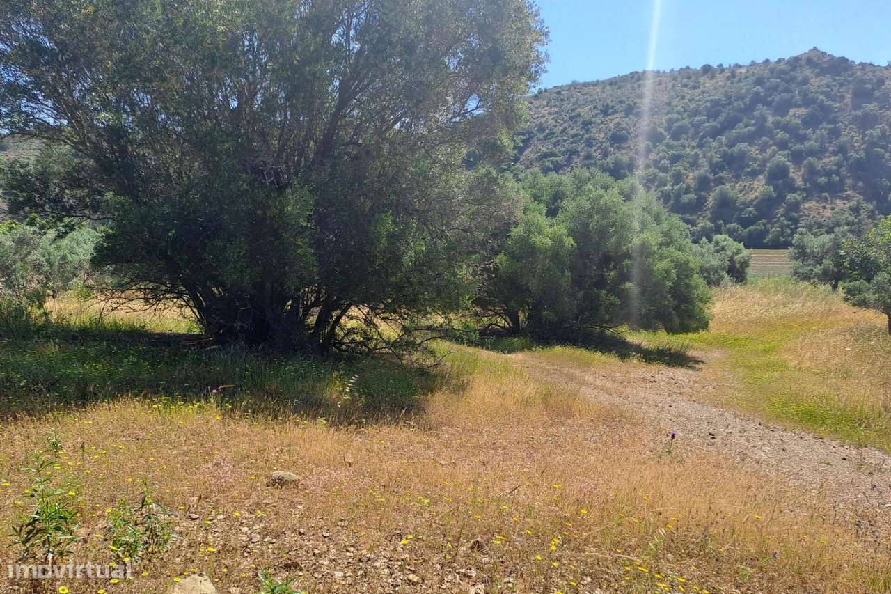 Terreno Rústico com 1540m2 perto de Alcoutim. - Grande imagem: 4/6