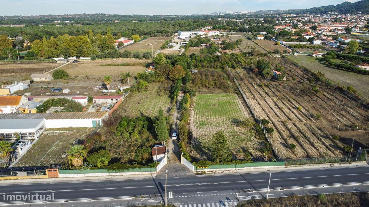 Terreno Rústico em Quinta do Anjo, Palmela - 11.800m2-20