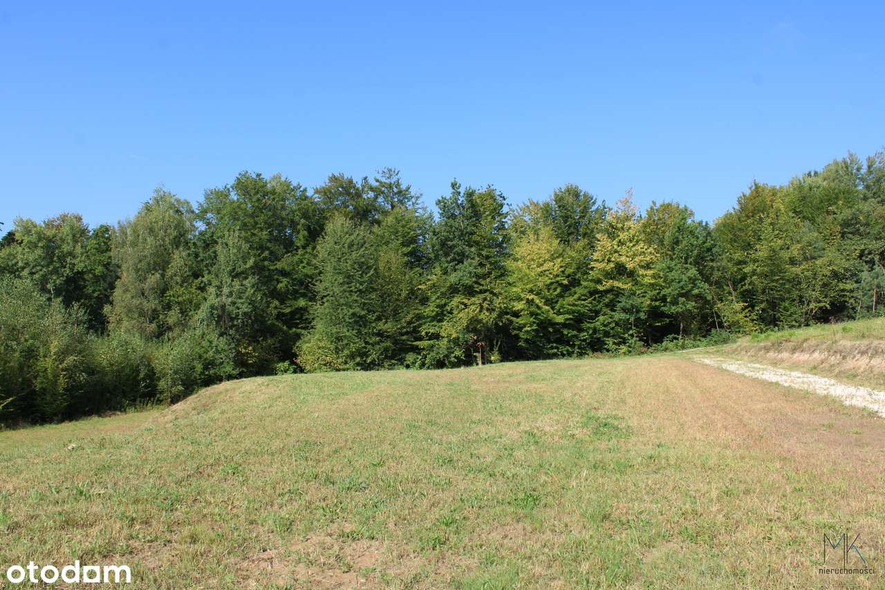 Kobylec, gmina Łapanów – działka budowlana z własnym stawem.-2