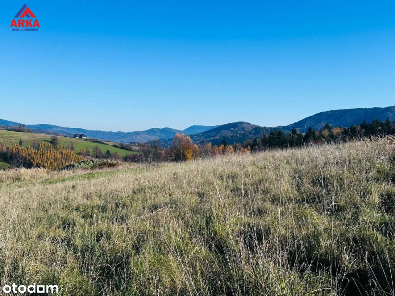 Działka budowlana z panoramą 45 km od Krakowa - Pełny obrazek: 4/13