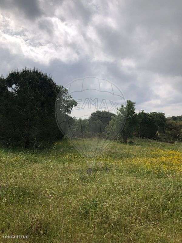 Terreno  para venda - Grande imagem: 4/5