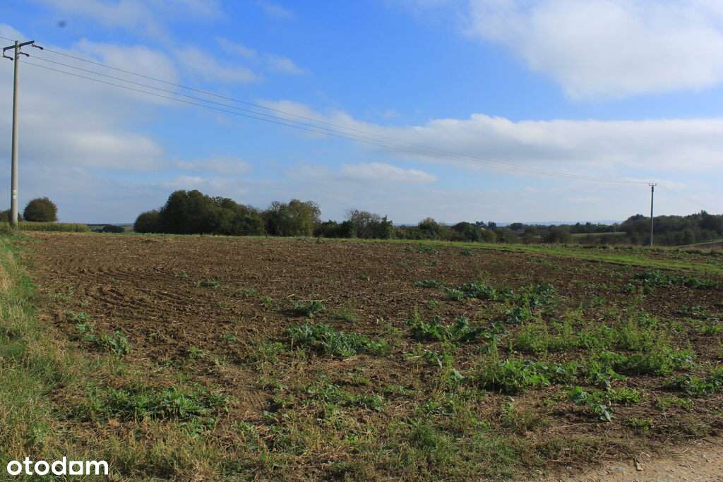 Działka w sąsiedztwie zabudowy - cicha okolica - Pełny obrazek: 4/8