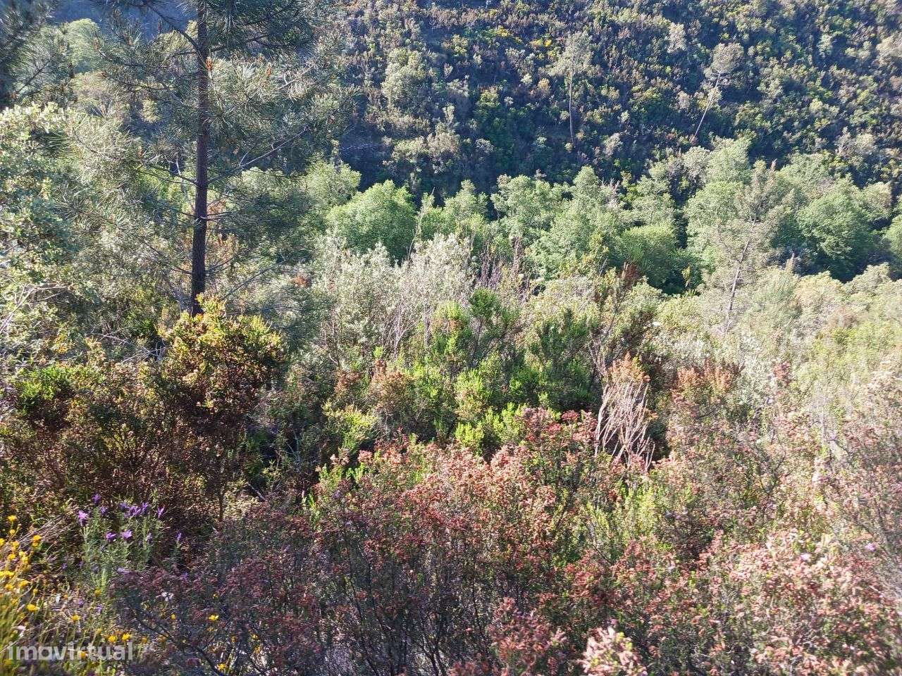 Terreno - Grande imagem: 5/9